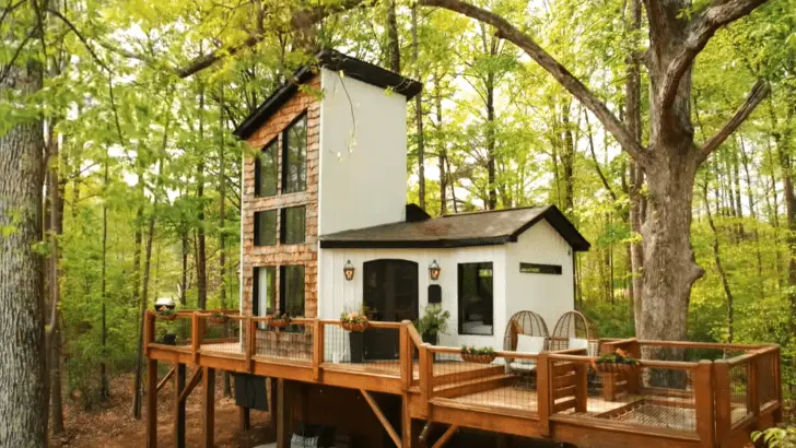 Fantastic Tiny House Treehouse Is Unforgettable!