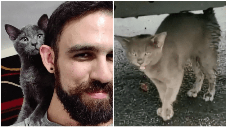 A Flat Tire, a Feline Friend: Jason’s Unexpected Rescue