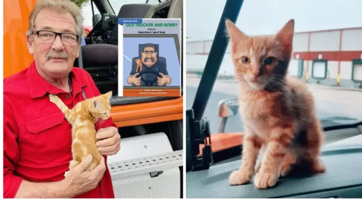 Trucker Mike Found Kitten All Alone, Now They’re Best Buddies on the Road!