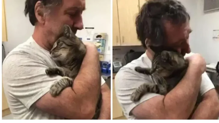 A Cat Retune Home After Gone 7 Year Make His Owner Cry