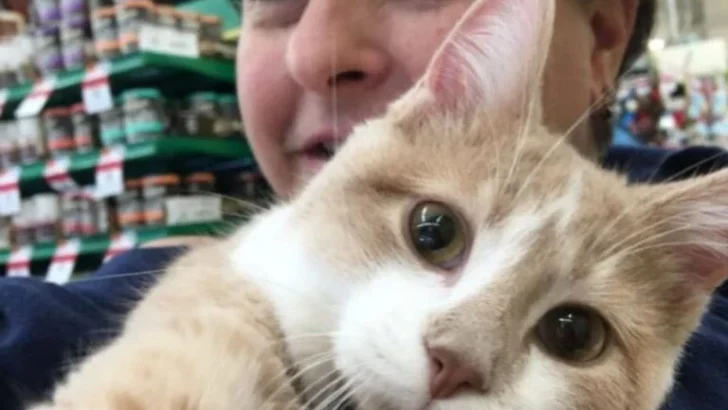 From Abandoned Kitten to Showering Kisses: The Story Cat Finds His Forever Home