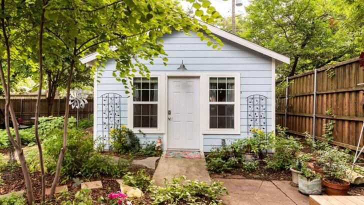 Charming Tiny Blue House Amidst The Trees