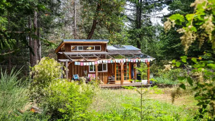 Simple Living In A Tiny Cabin Surrounded By Forest