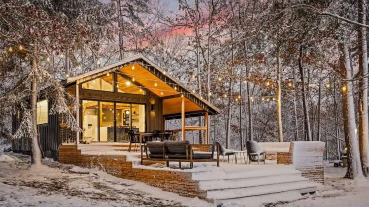 Amazing Tiny Cabin A Cozy Retreat In Nature’s Embrace