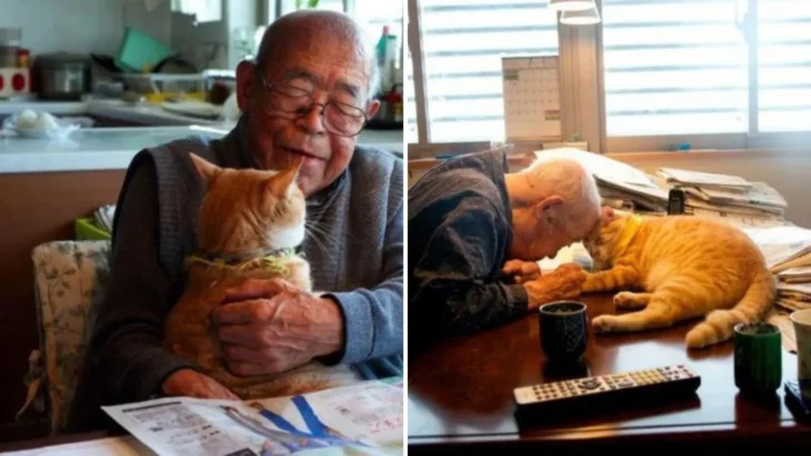 Purrfect Workplace: This Company Pays Employees to Cuddle Cats!