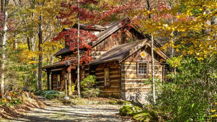 Pet-Friendly, Cozy Log Cabin With Waterfall And Enchanting