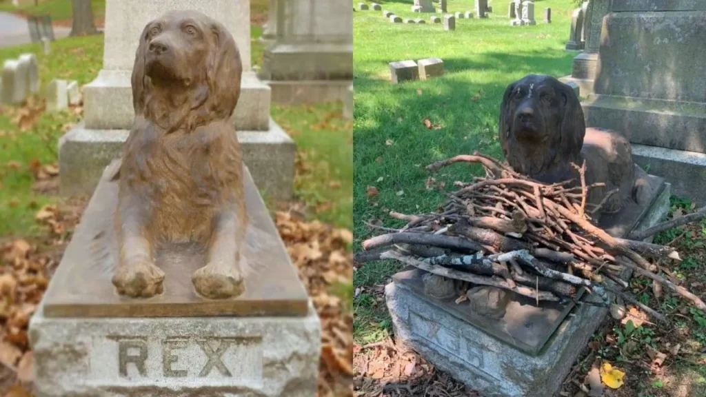 A dog named Rex pa.ss.ed away over 100 years ago, visitors continued to show their respect by leaving him little gifts on his bronze statue