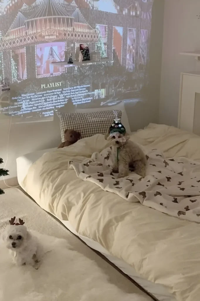 Small bedroom with neutral bedding, festive projector display, cozy decor, and playful pet accessories.