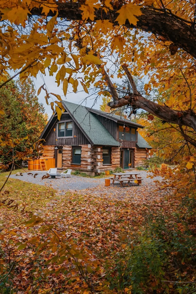 Rustic log cabin surrounded by colorful autumn leaves, featuring outdoor seating and a fire pit.