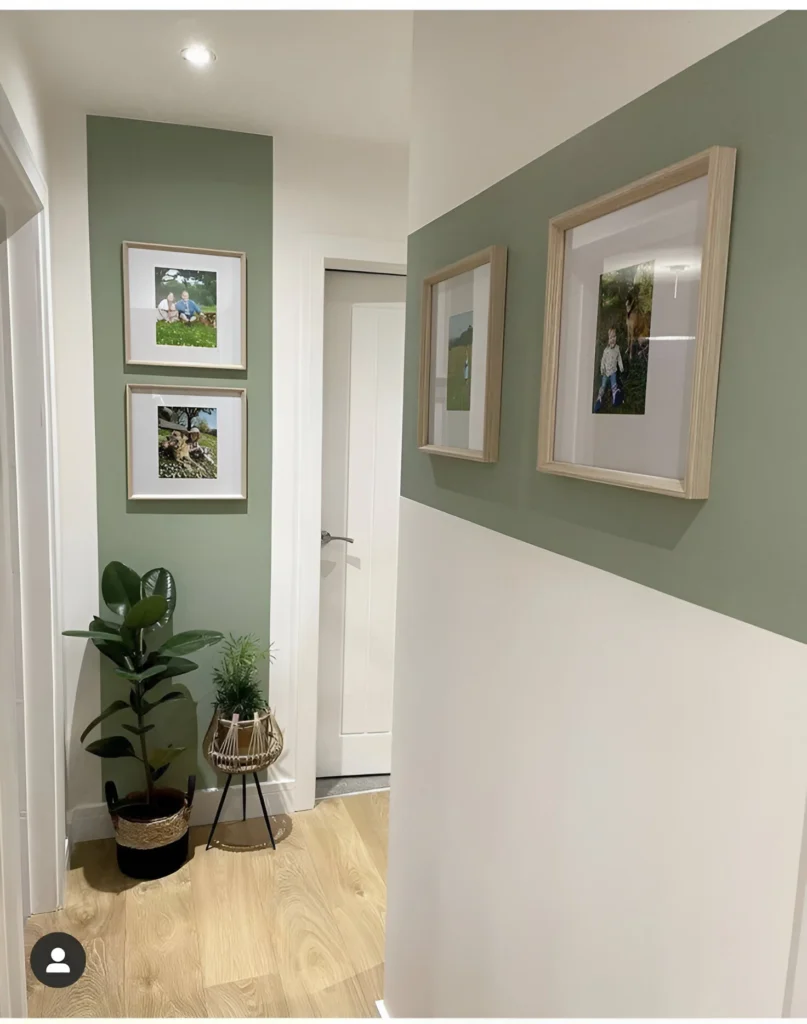 Sage green gallery wall using a two-toned wall for a small hallway space.