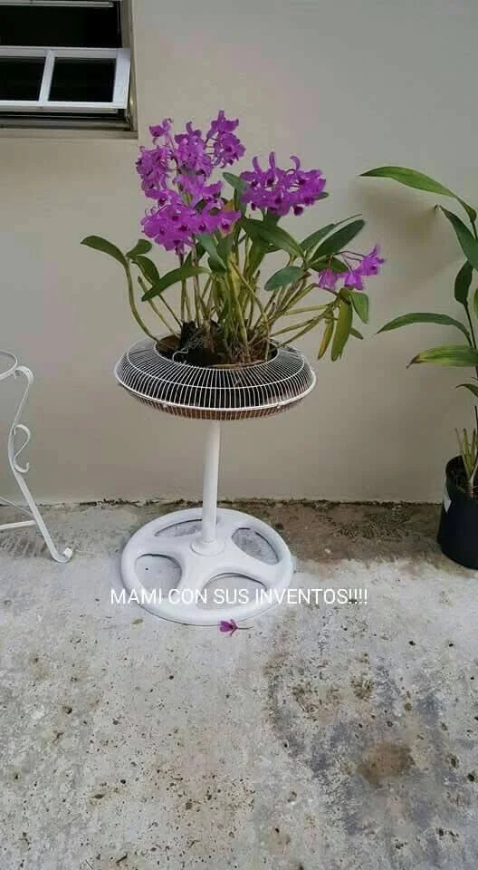 Recycled fan cover repurposed as a flower planter stand.