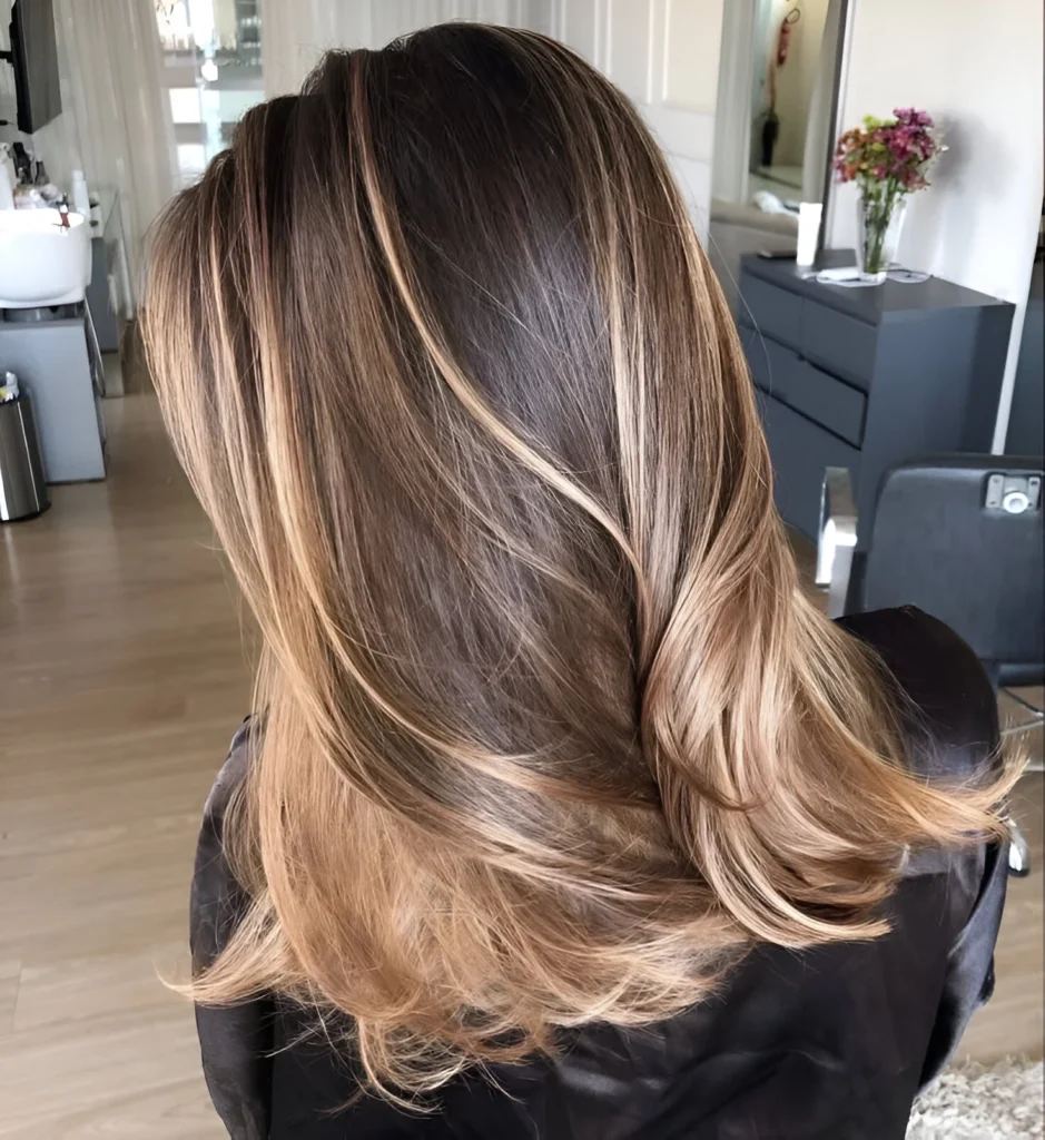 Honey blonde highlights brown hair 2025