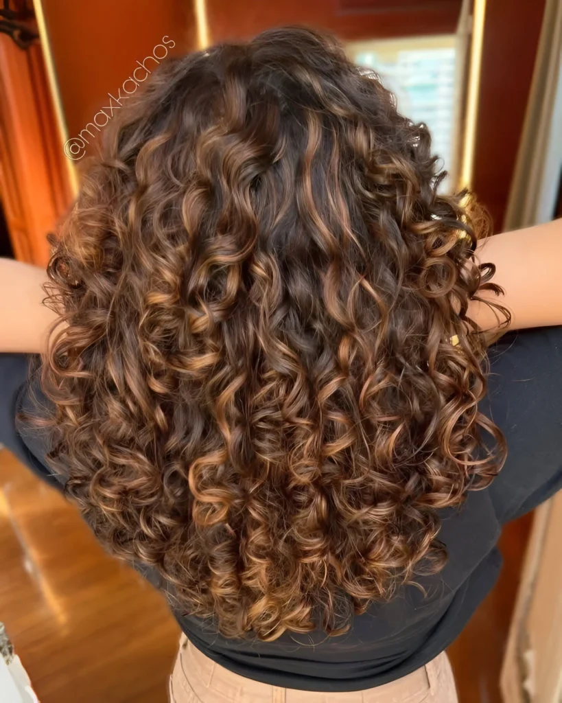 Red brown highlights curly hair 2025