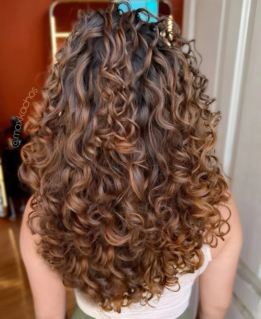 Bronze highlights curly hair 2025 style