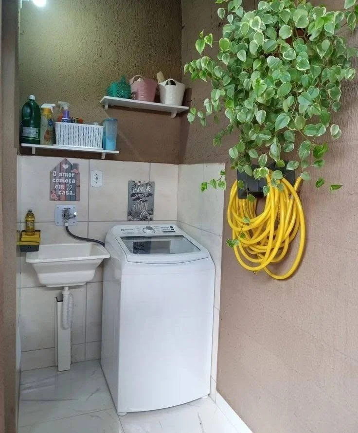 Laundry Room Plants Indoor Greenery