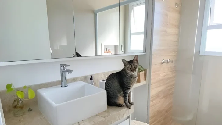 Modern Bathroom with Mirrored Wall and Rectangular Sink