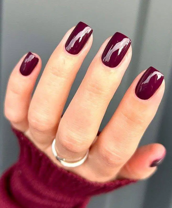 Classic Glossy Burgundy Nail Polish