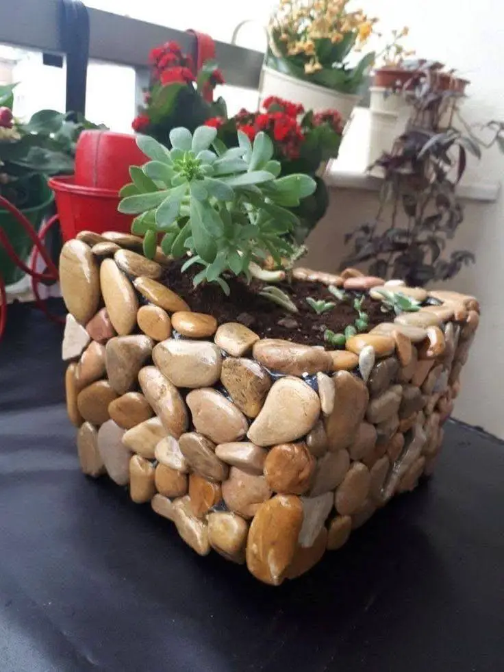 Rectangular planter box made from light-colored river stones, holding a succulent plant (likely a Sedum or Stonecrop).