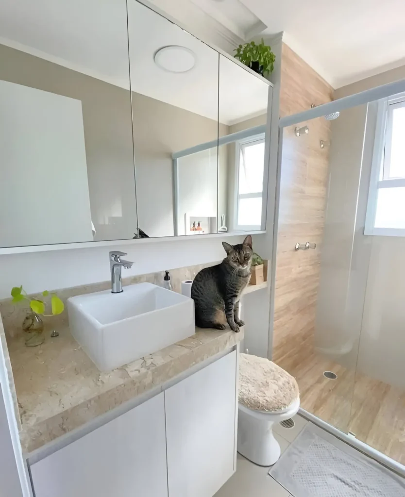 Modern small bathroom with large mirrored cabinet, white vanity, and light-colored countertop.