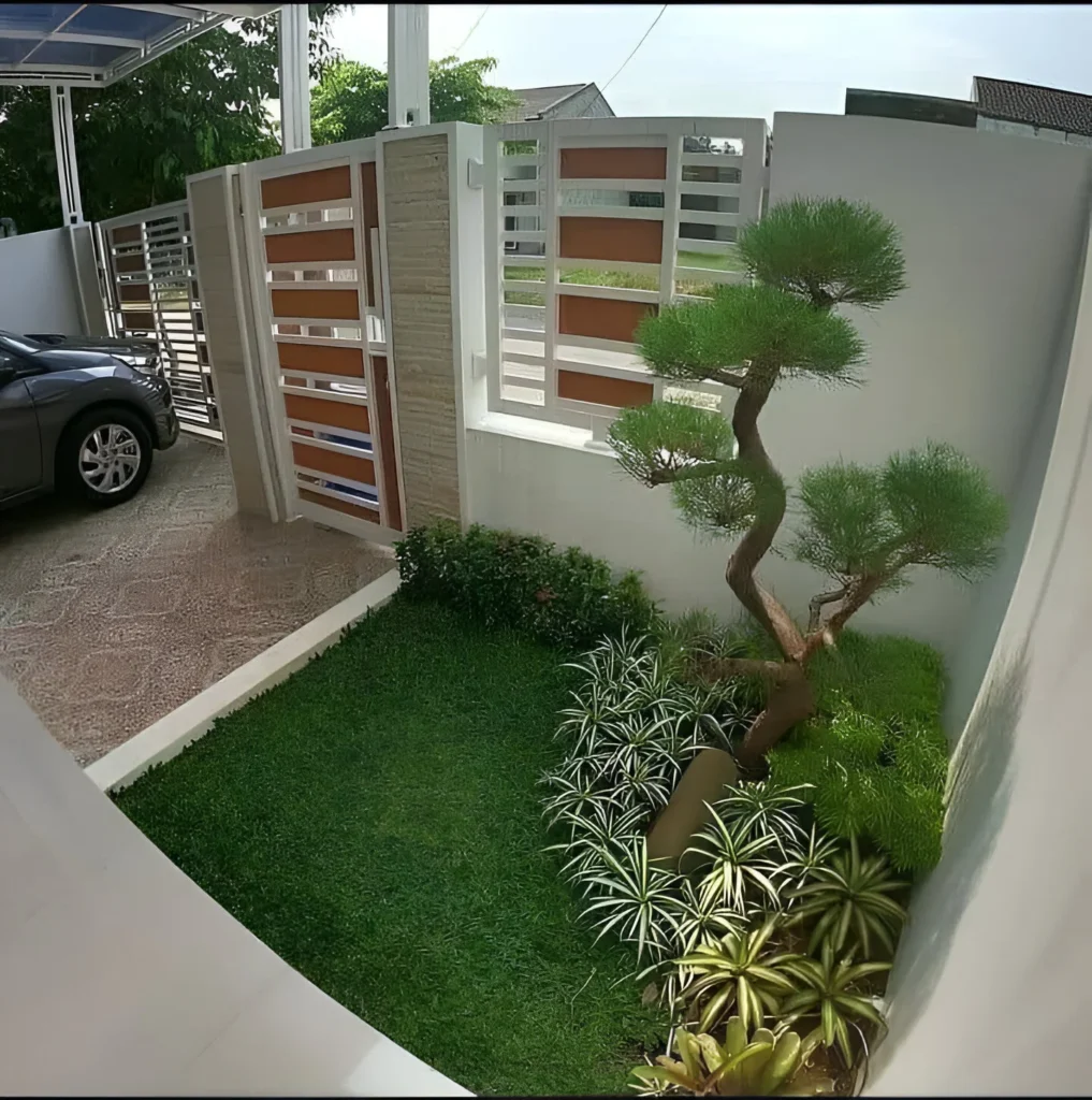 Small garden decor with a sculpted bonsai tree and minimalist planting.