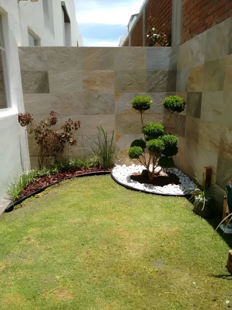 Corner garden decor featuring a sculpted topiary, white pebbles, and textured wall tiles. Description of plants: Common box