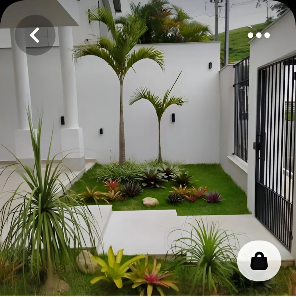 Tropical garden decor with palm trees, broad-leafed plants, and a modern pathway.