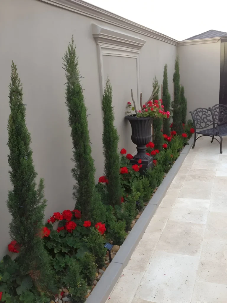 Garden decor with tall Italian Cypress trees, a classic urn planter, and red flowers.