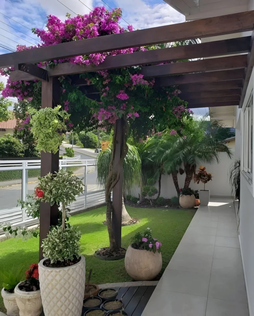 Garden decor featuring a wooden pergola with flowering bougainvillea and potted plants.