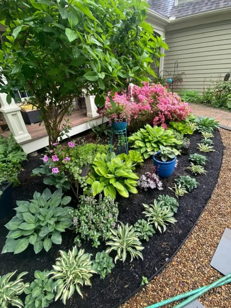 Flower garden bed with layered planting, featuring various shades of green foliage and pink flowers, with dark mulch contrasting against a light-colored walkway.