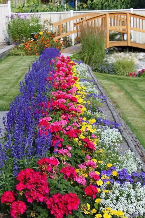 A long flower bed with rows of purple salvia, red geraniums, yellow flowers, and white alyssum, creating a defined and colorful edge.