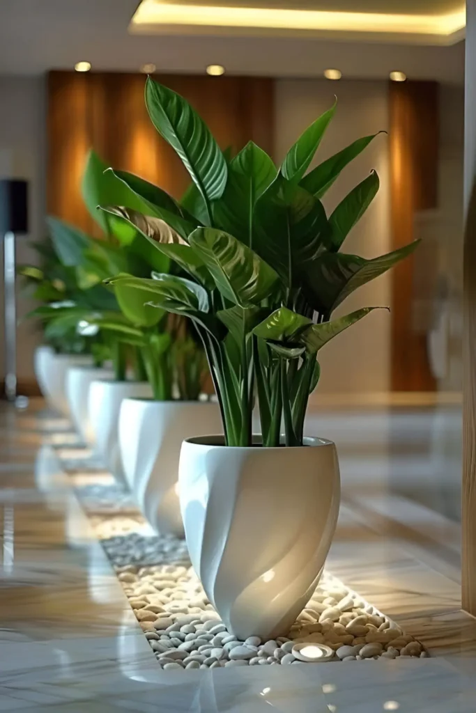 Row of Bird of Paradise plants in elegant white pots, placed on pebbled flooring with soft accent lighting in a modern indoor space.