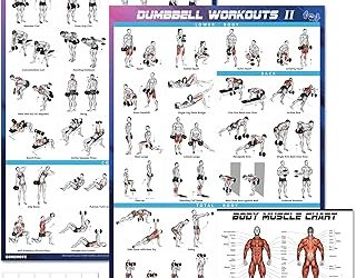 Best Back Exercise Dumbbells: 6 Picks by Movement Unlocked