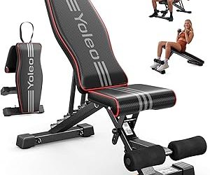 Best Home Gym Gear: 6 Accessories That Change Your Training