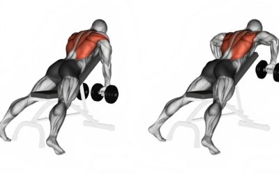 Best Lat Exercises Dumbbells: 6 Picks for Heavy Row Work