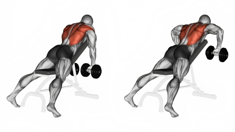 How to Choose the Best Lat Exercises Dumbbells