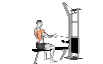 Best Cable Machine for Home Gym: 5 Picks and Pulley Ratios