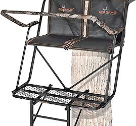 Best 2 Person Ladder Stand (2026)