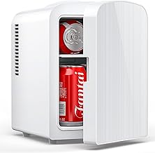 Best 6 Can Mini Fridge (2026)