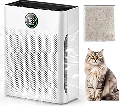 Best Air Purifier Cats (2026)