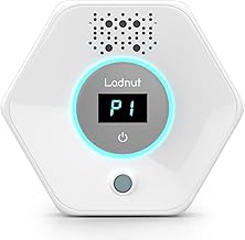 Best Air Purifier For Cat Litter Smell (2026)