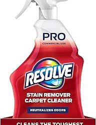 Best Carpet Spot Cleaner (2026)