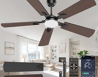 Best Ceiling Fan With Bright Light (2026)