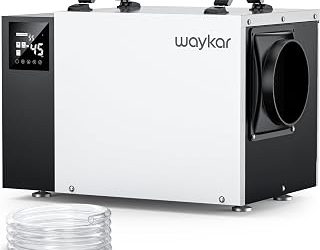 Best Crawl Space Dehumidifier (2026)