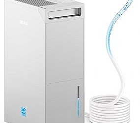 Best Dehumidifier With Pump For Basement (2026)