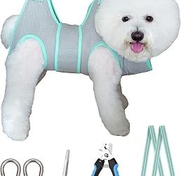 Best Dog Hammock For Nail Trimming (2026)