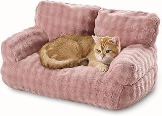 Best Fabric For Sofa With Cats (2026)