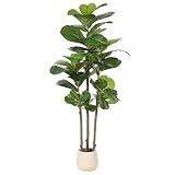Best Faux Olive and Fiddle Leaf Fig Trees for Empty Living Room Corners