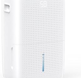 Best Garage Dehumidifier (2026)