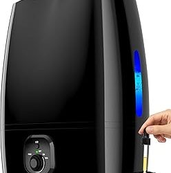 Best Humidifier For Sinus Issues (2026)