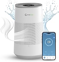 Best Humidifier Purifier Combo (2026)